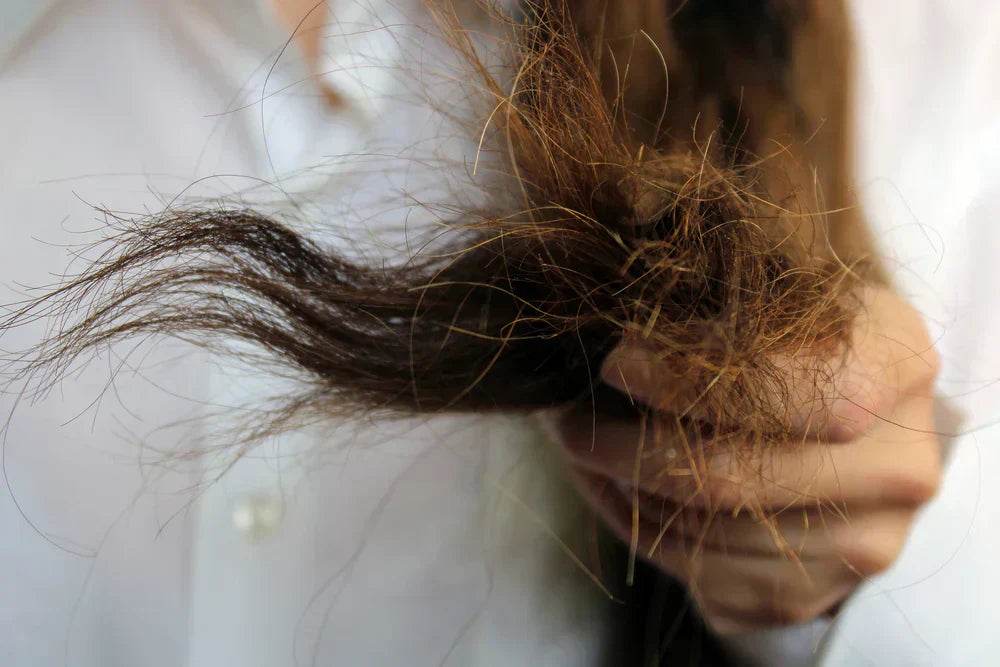 O que danifica o cabelo: descubra os 10 fatores mais comuns Cabelos danificados