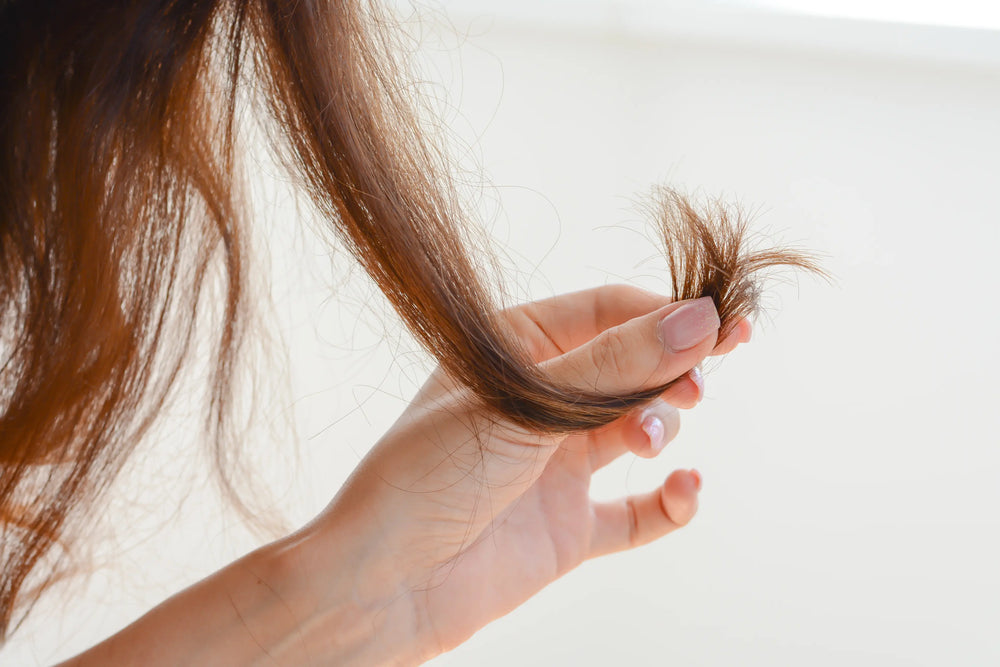 Cabelo poroso: Descubra o que é e confira a melhor forma de tratar Imagem mostrando mão segurando um fio de cabelo quebrado, evidenciando a importância de cuidados capilares e técnicas para manter os cabelos saudáveis.