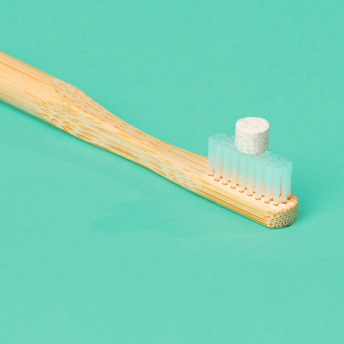 Escova de Dente de Bambu