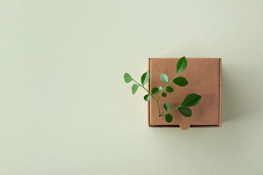 Caixa de papel kraft com uma planta verde em cima, ideal para embalagens sustentáveis e decoração natural.