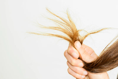 Imagem de mão segurando cabelo com pontas duplas, ilustrando a importância de cuidados capilares para evitar danos e manter os fios saudáveis.