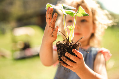 Restaurar pra que o Planeta possa regenerar
