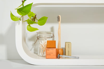 Trocas sustentáveis: dicas práticas pra deixar sua rotina mais consciente.