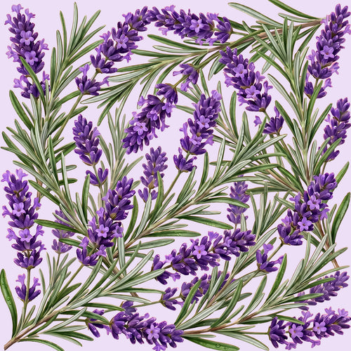 Refil Desodorante Lavanda e Alecrim Pele Normal