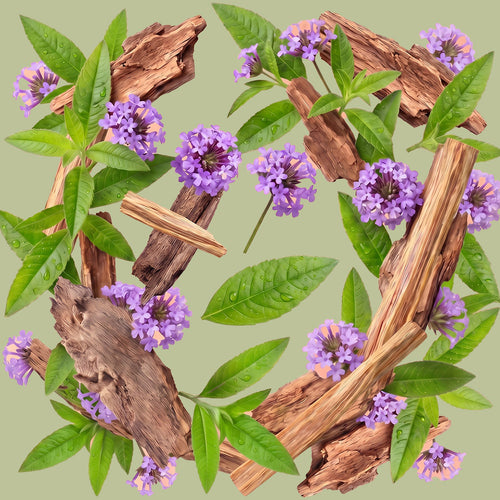 Refil Desodorante Verbena e Cedro Pele Normal